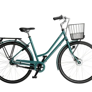 Fynd Nova Premium, 7-vxl
