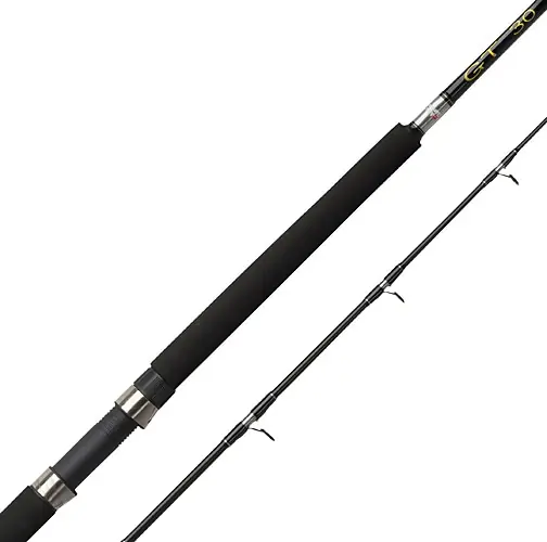 Populär Abu GT Boat 602/6' 30lbs /