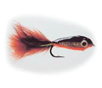 Fri frakt Streamers Epoxi Minnow 12st/fp Krok 08
