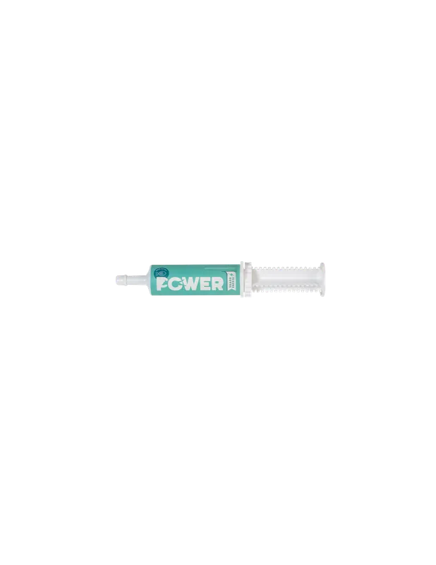 Power 60g Beställ idag